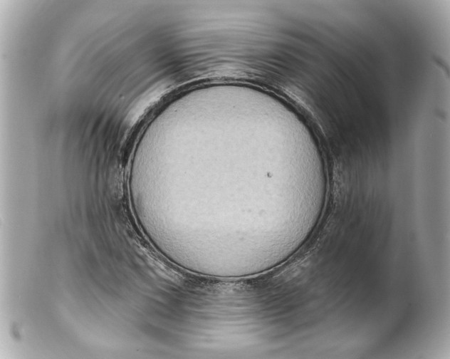 X0000099541067200805301456