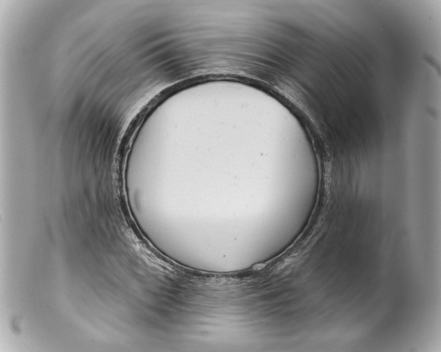 X0000099541068200805301456