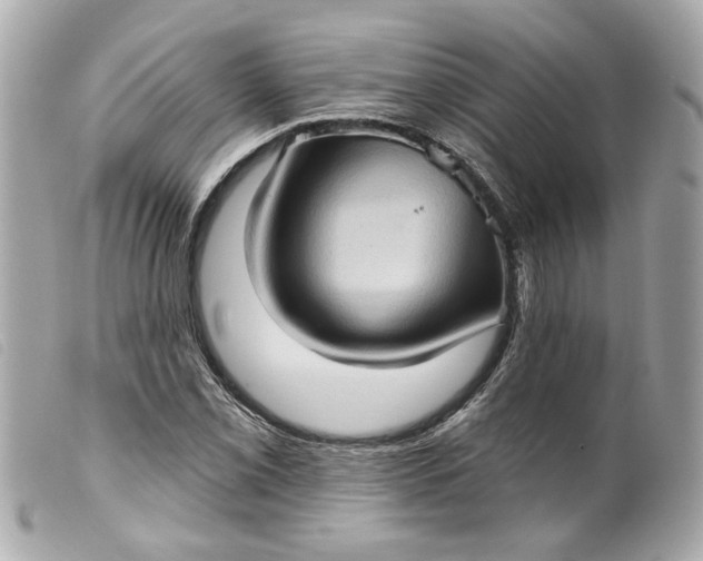 X0000099541069200805301456