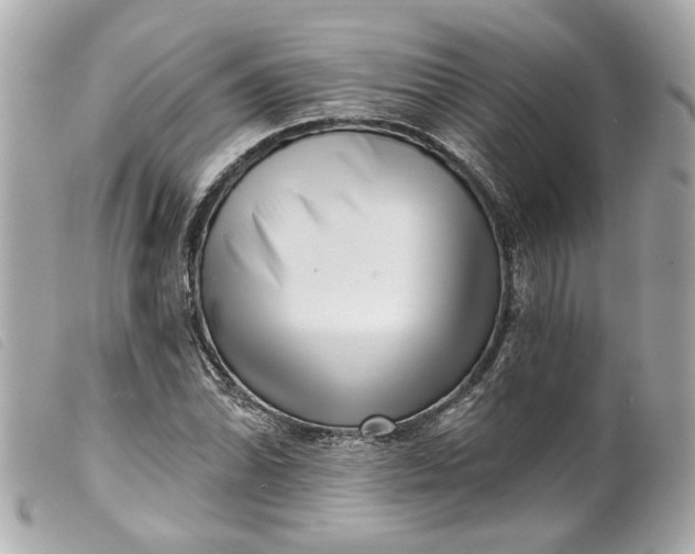 X0000099541070200805301456