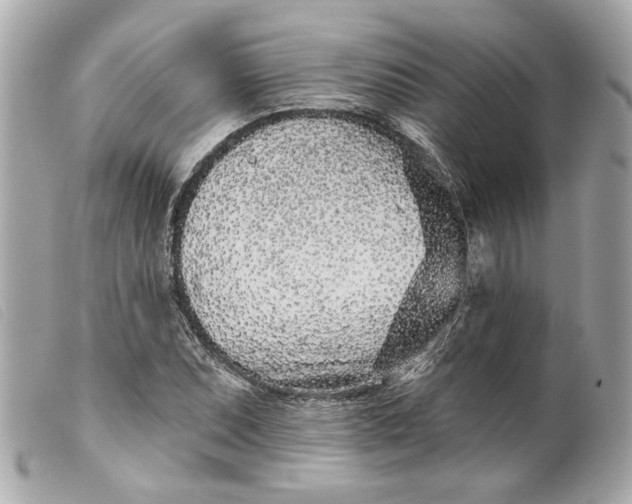 X0000099541071200805301456