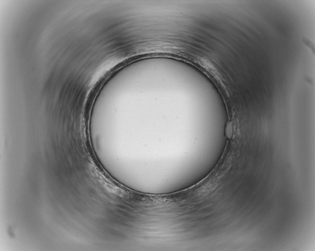 X0000099541072200805301456