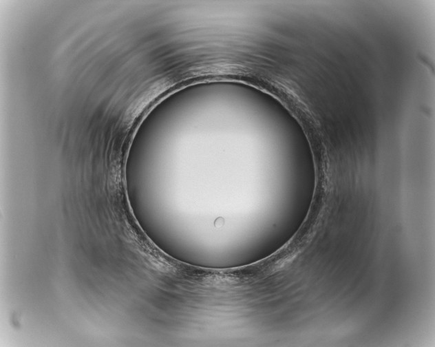 X0000099541073200805301456