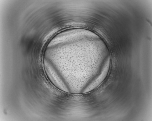 X0000099541074200805301456