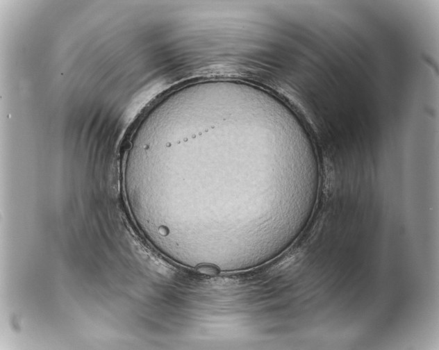 X0000099541075200805301456