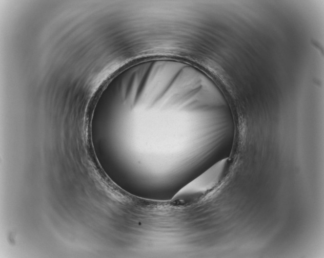 X0000099541077200805301456