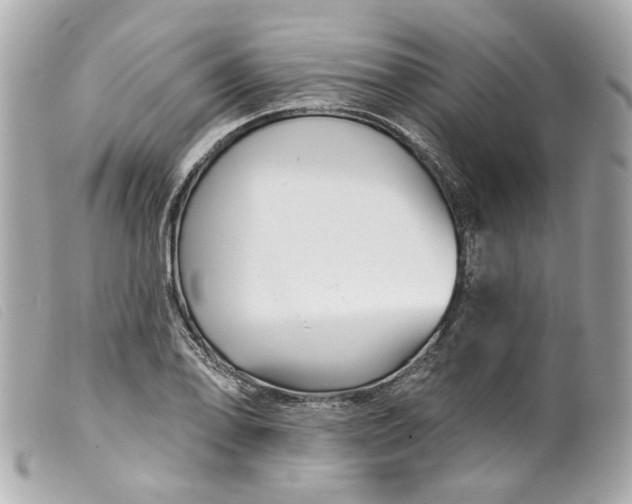 X0000099541078200805301456