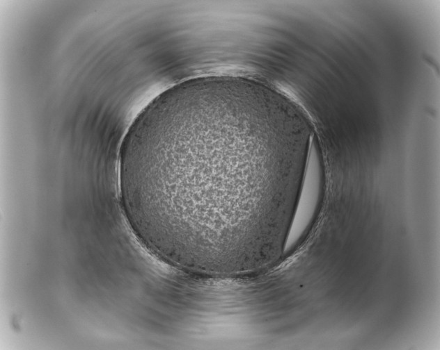 X0000099541079200805301456