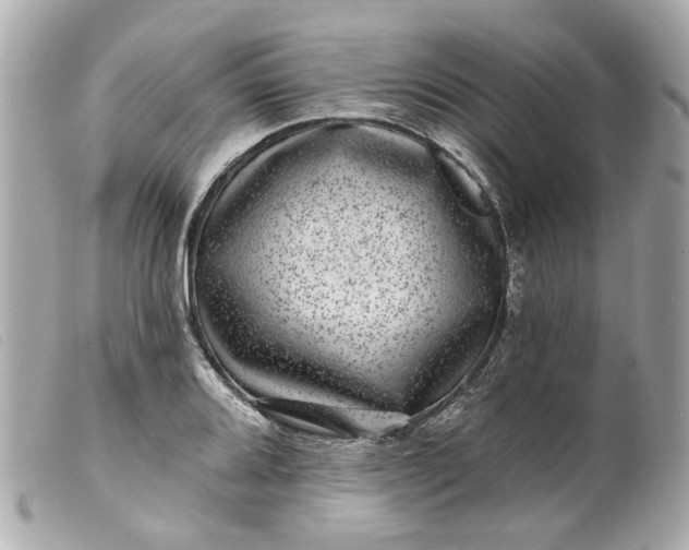 X0000099541080200805301456