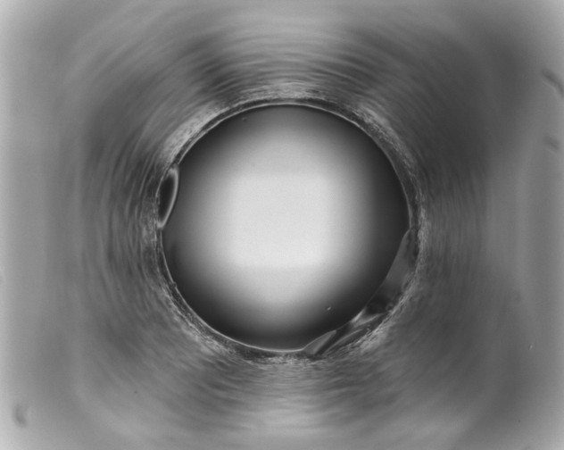 X0000099541081200805301456