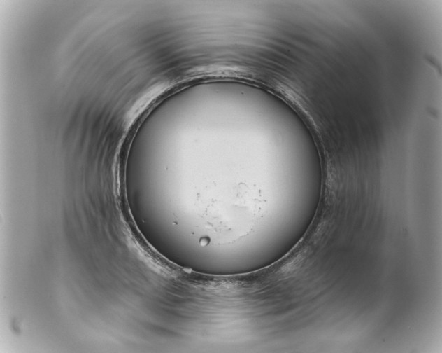 X0000099541082200805301456