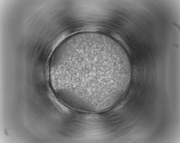 X0000099541083200805301456