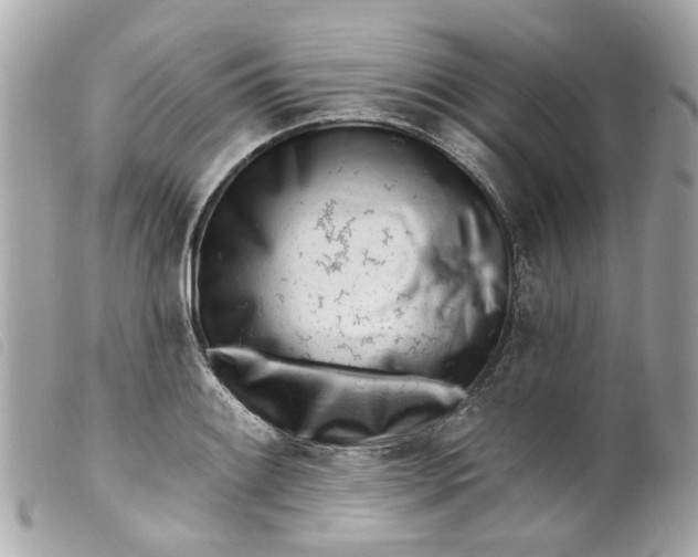 X0000099541084200805301456