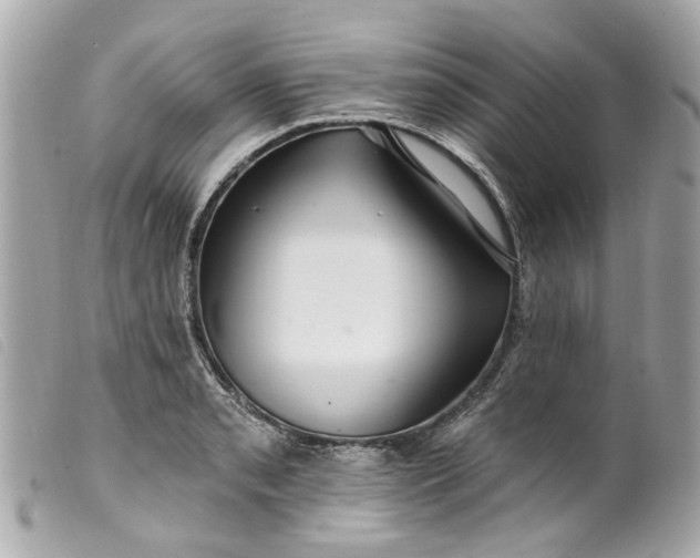 X0000099541085200805301456