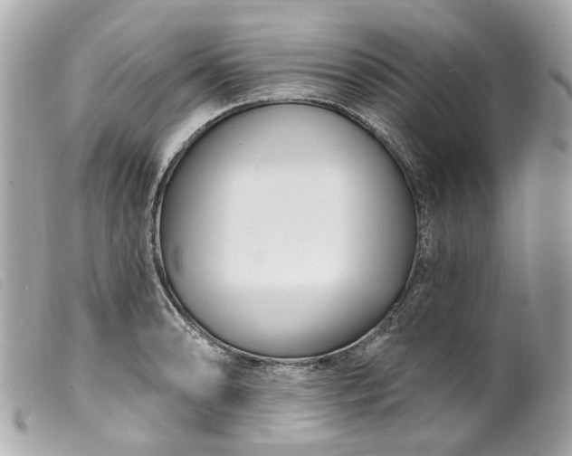 X0000099541086200805301456