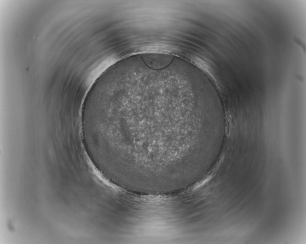 X0000099541087200805301456