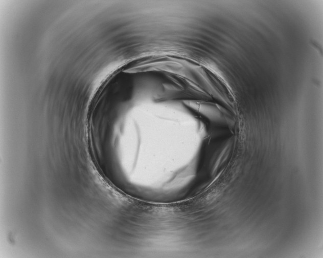 X0000099541088200805301456