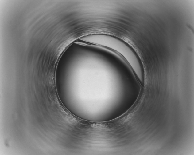 X0000099541089200805301456