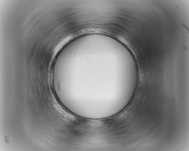 X0000099541090200805301455