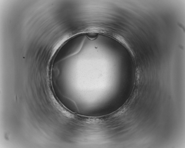 X0000099541091200805301455