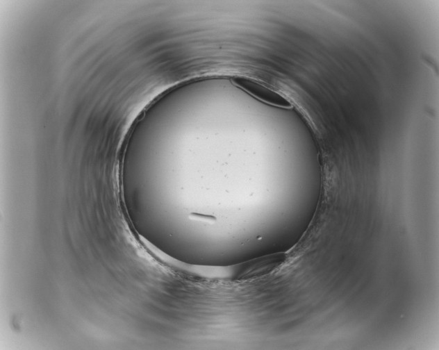 X0000099541092200805301455