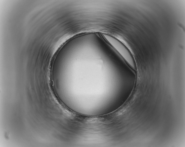 X0000099541093200805301455