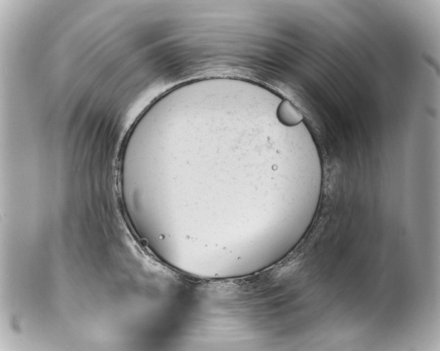 X0000099541094200805301455