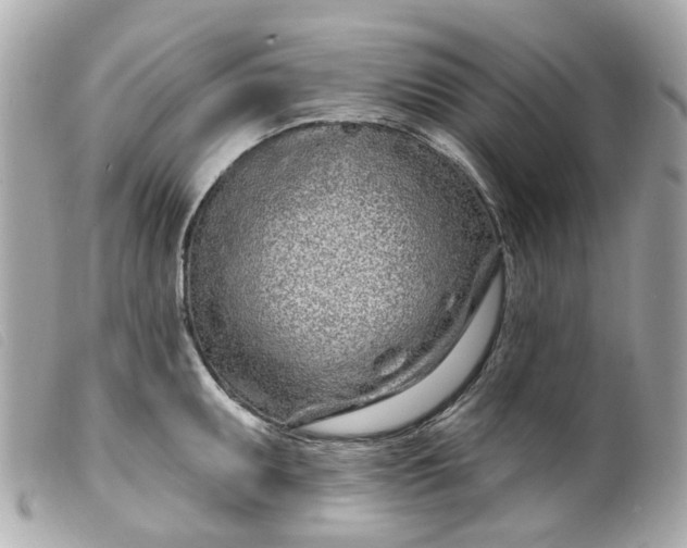 X0000099541095200805301455