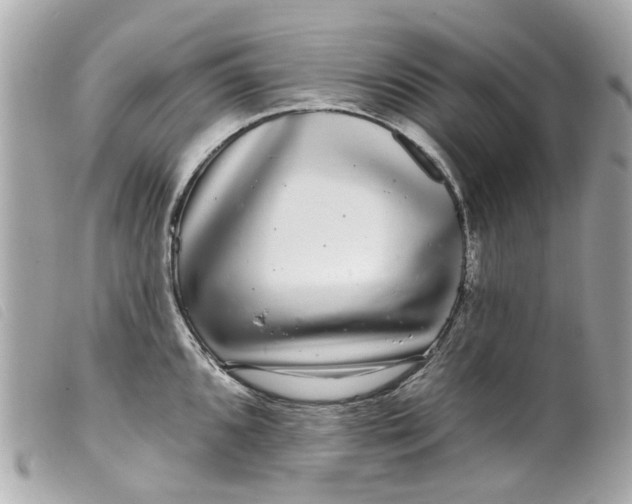 X0000099541096200805301455