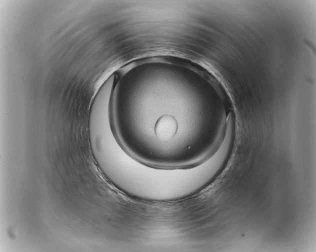 X0000099541097200805301455