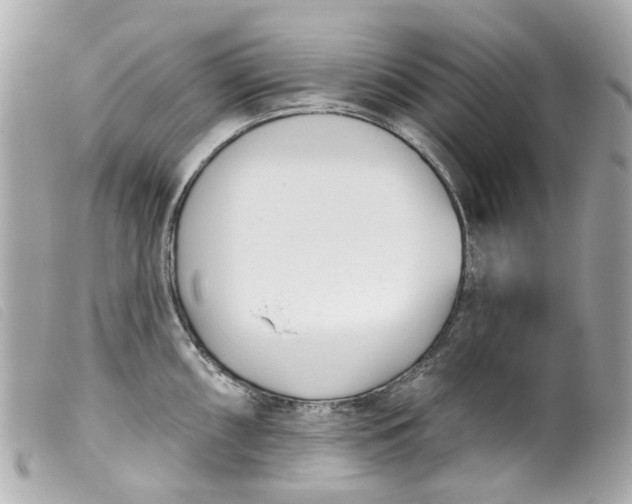 X0000099541098200805301455