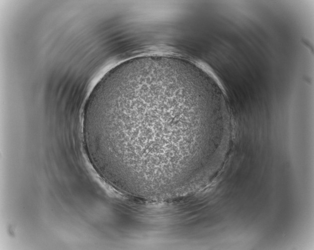 X0000099541099200805301455