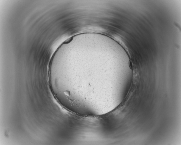 X0000099541103200805301455