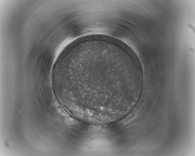 X0000099541104200805301455