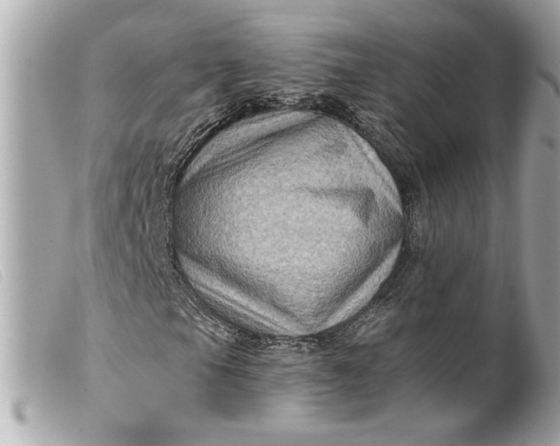 X0000099541105200805301455