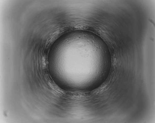 X0000099541106200805301455