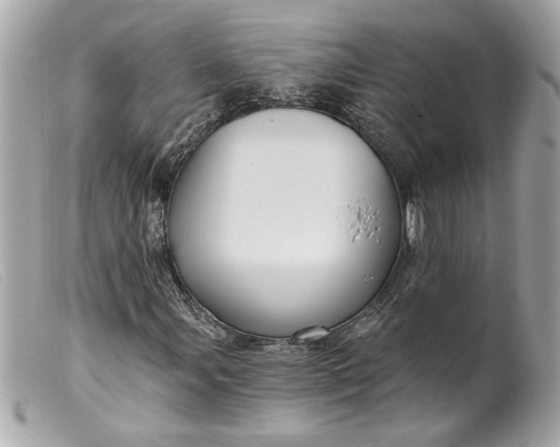 X0000099541107200805301455