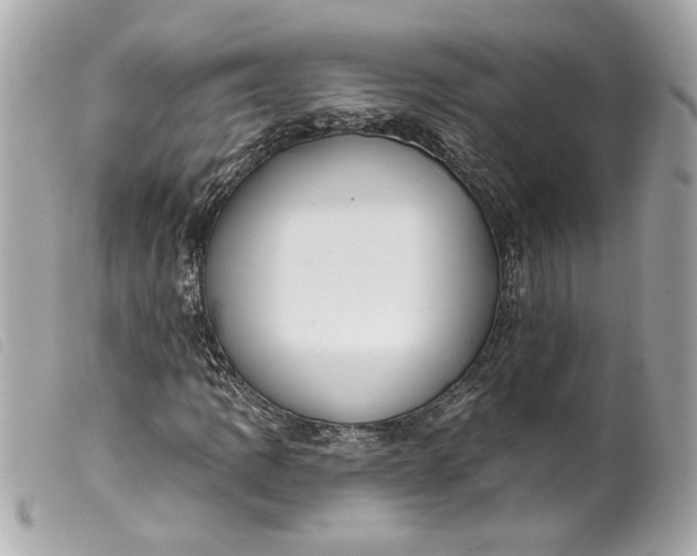 X0000099541109200805301455