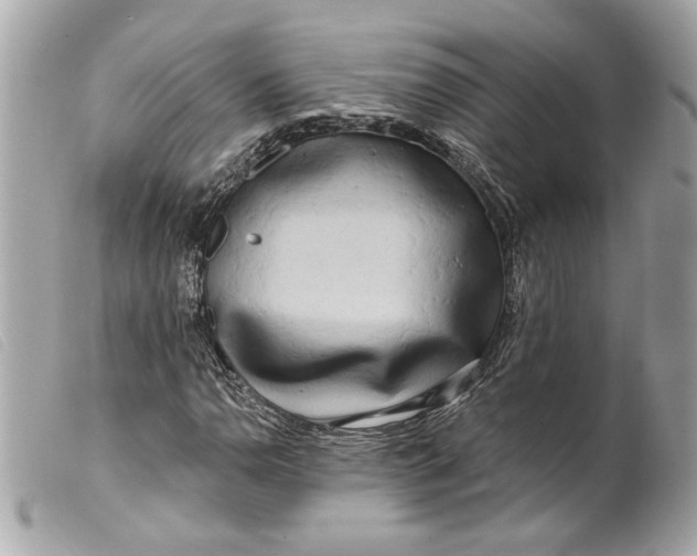 X0000099541110200805301455