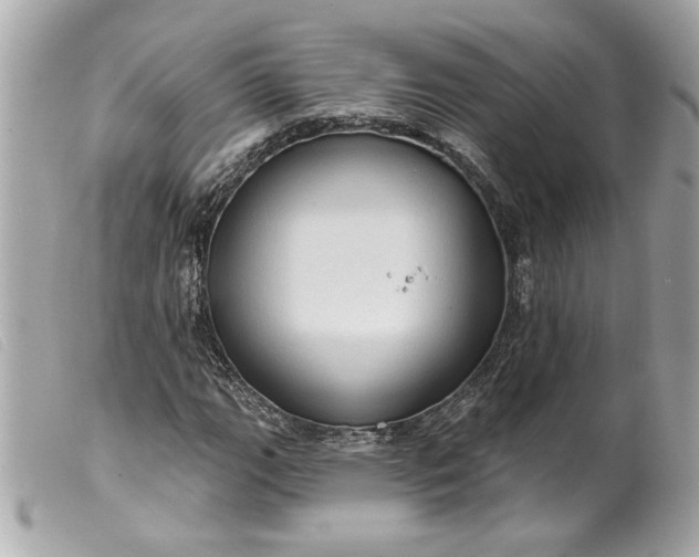 X0000099541111200805301455