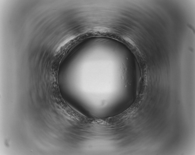 X0000099541112200805301455