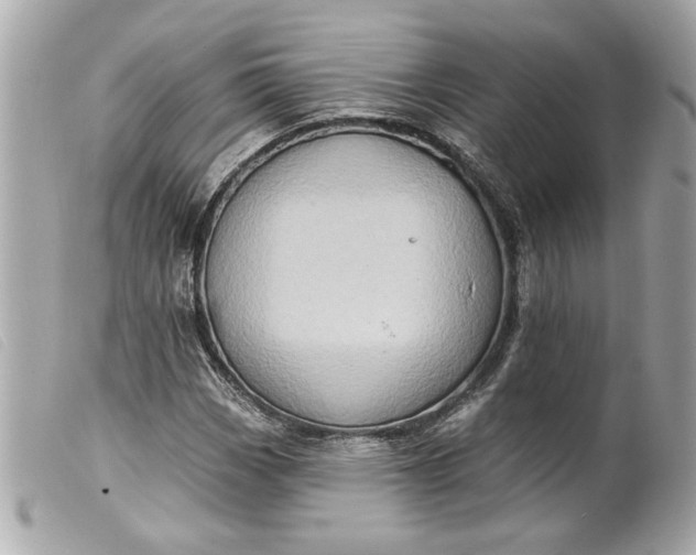 X0000099541113200805301455