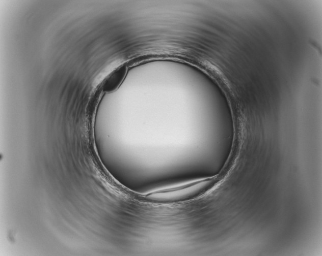 X0000099541114200805301455