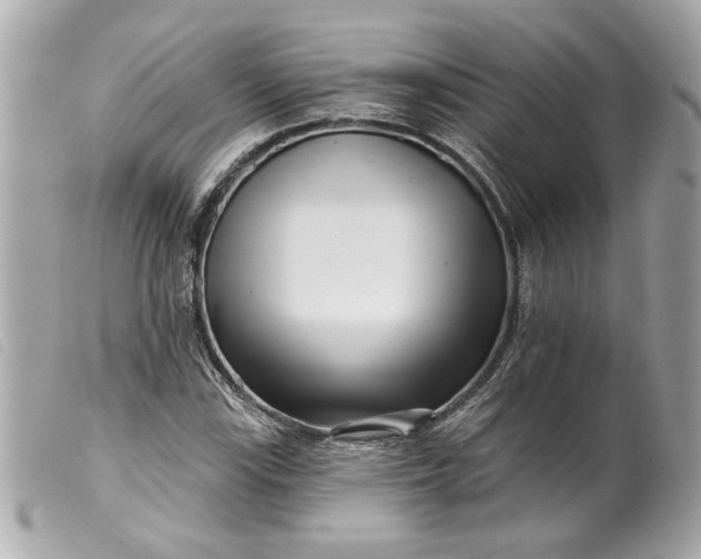 X0000099541115200805301455