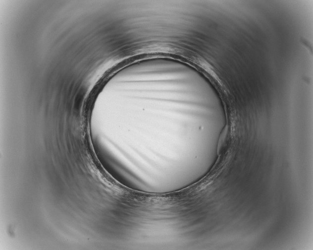 X0000099541116200805301455