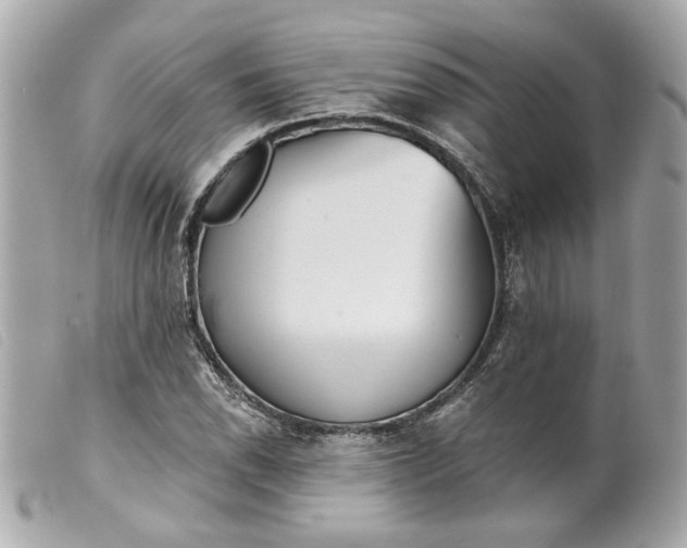 X0000099541118200805301455