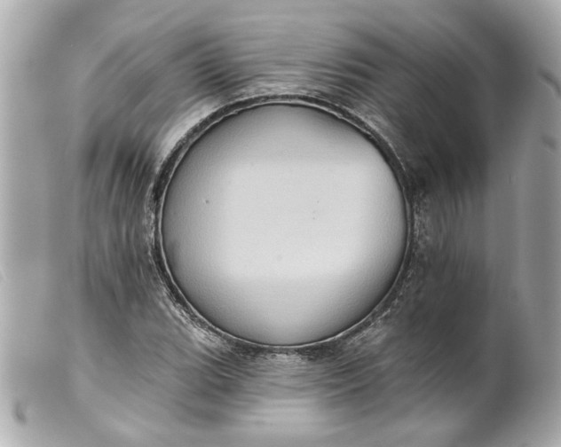 X0000099541119200805301455