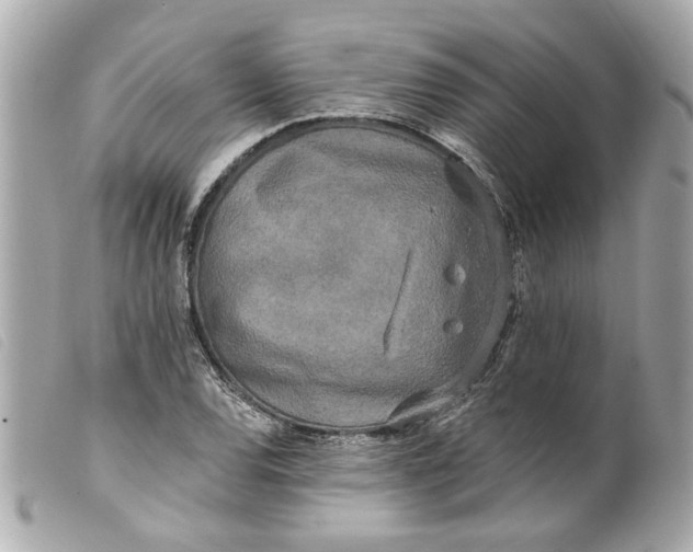 X0000099541120200805301455