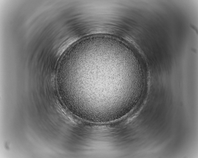 X0000099541121200805301455