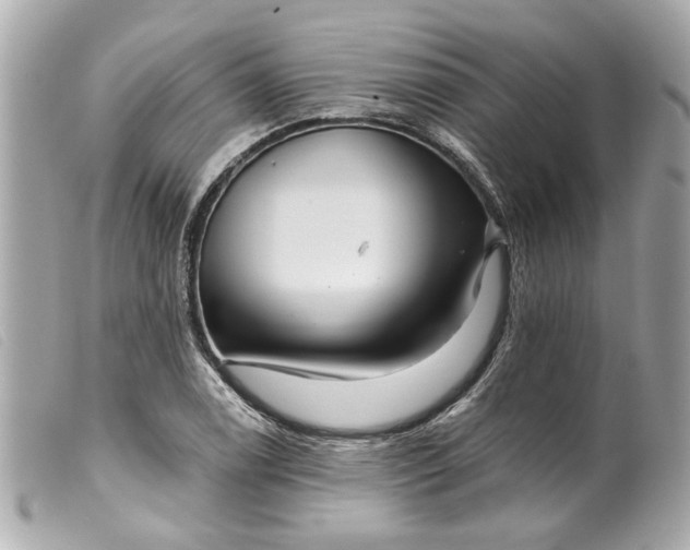 X0000099541122200805301455